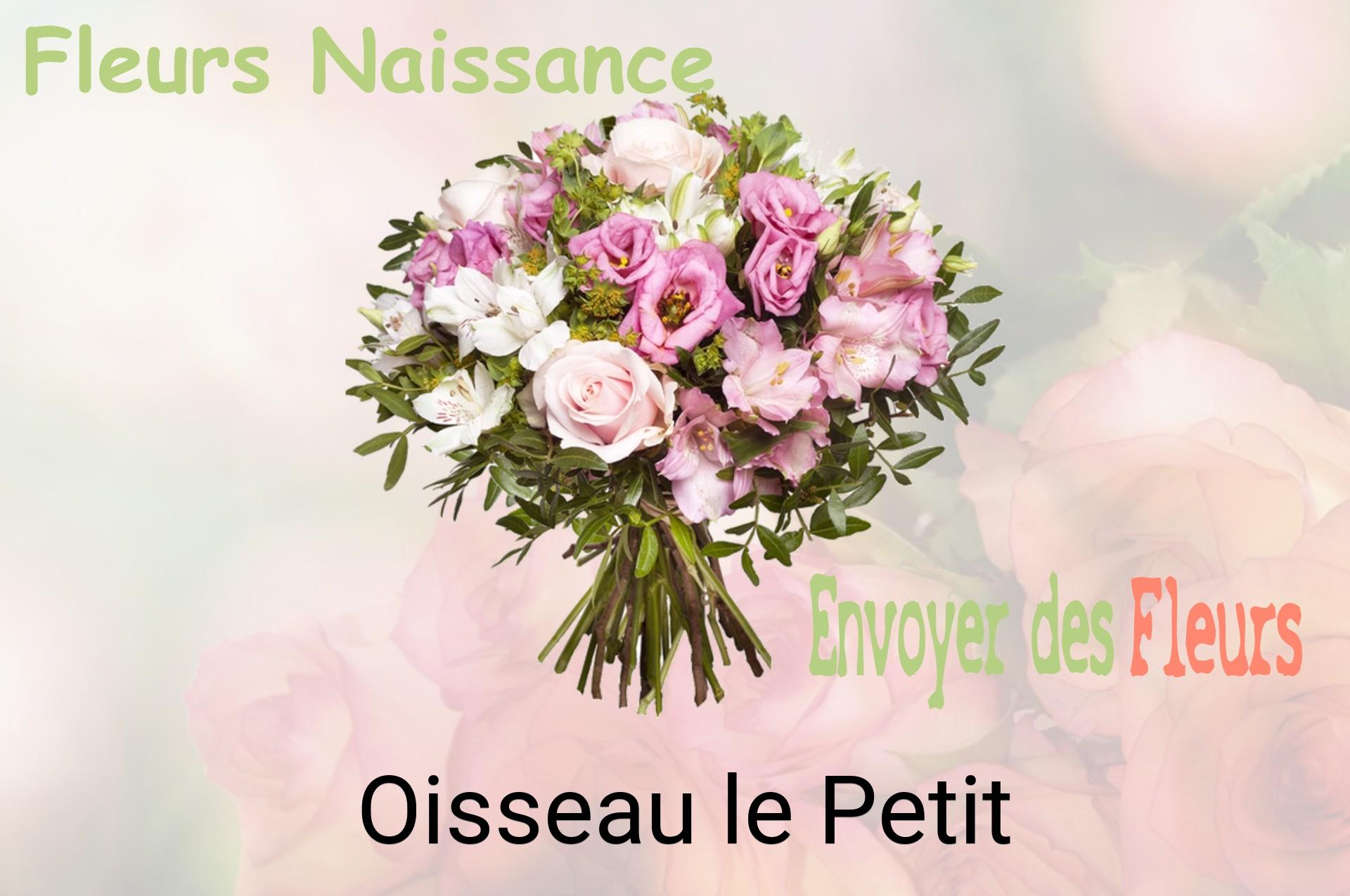 Bouquet de fleurs de naissance livré à Oisseau-le-Petit