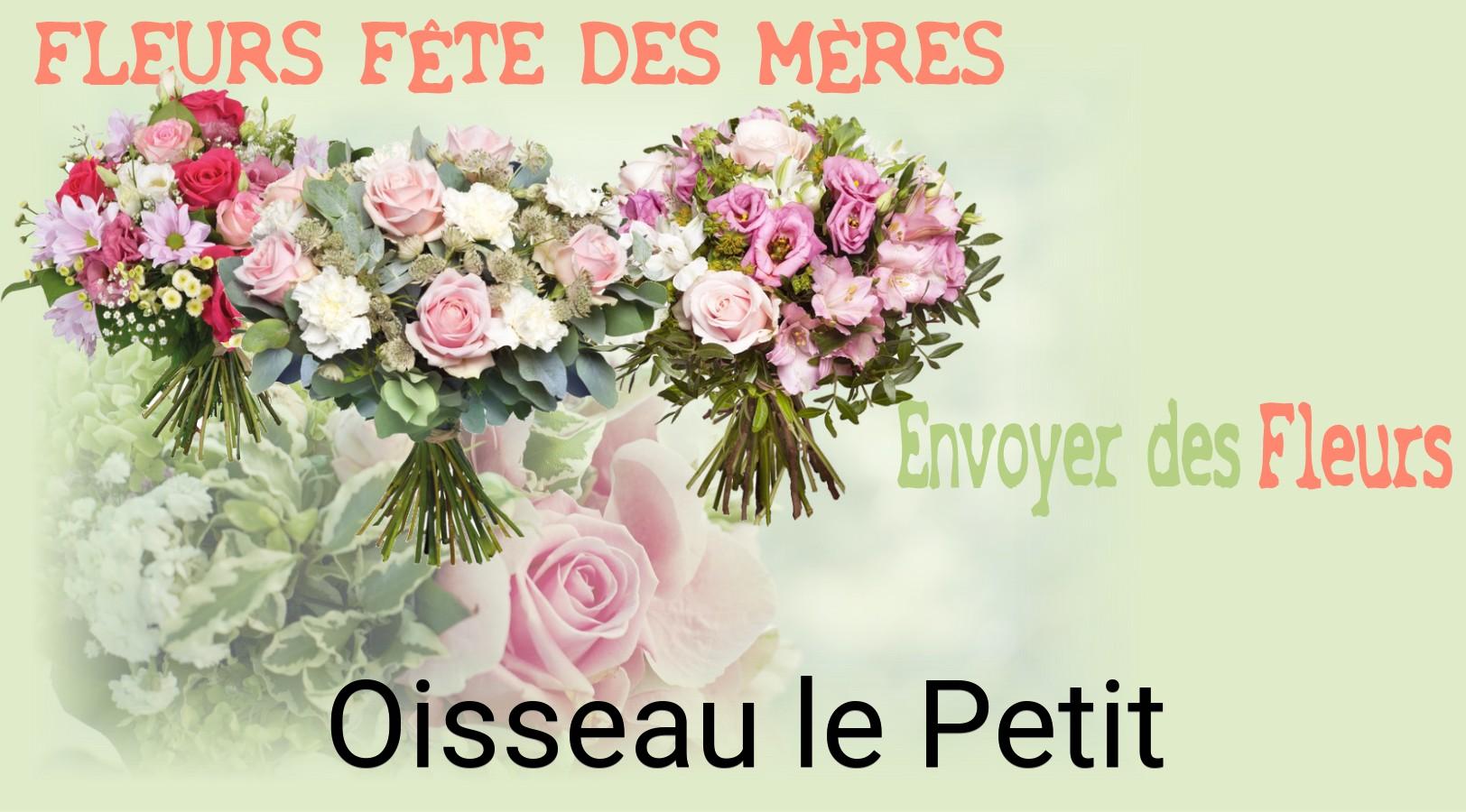Bouquet de Fête des Mères livré à Oisseau-le-Petit